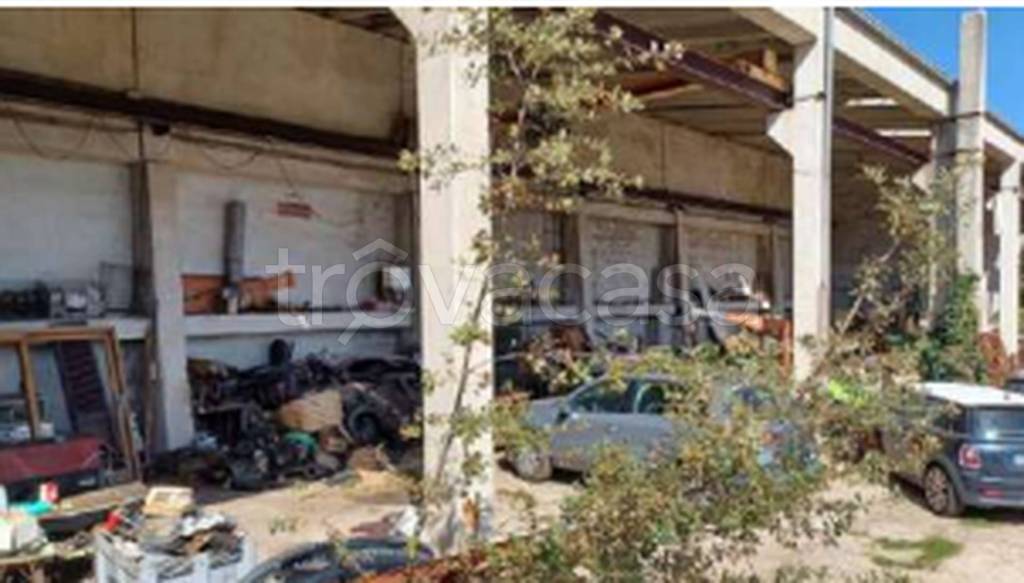 immagine annuncio 6 di 10