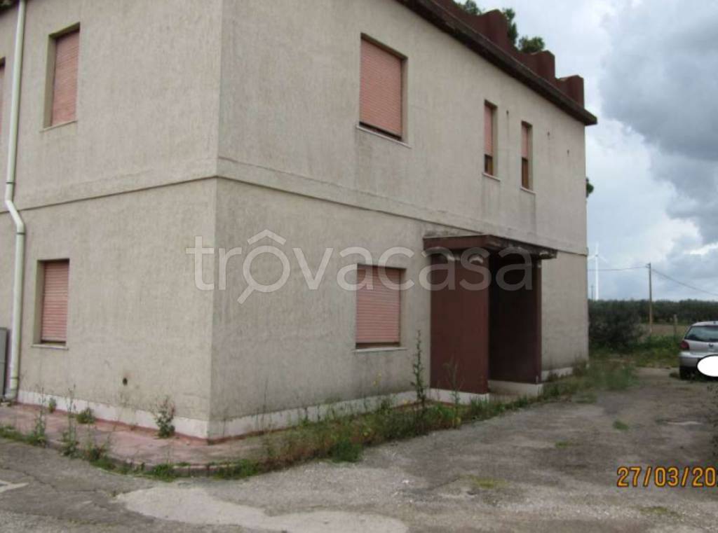 immagine annuncio 3 di 11