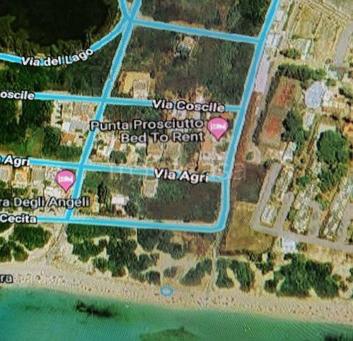 immagine annuncio 1 di 4