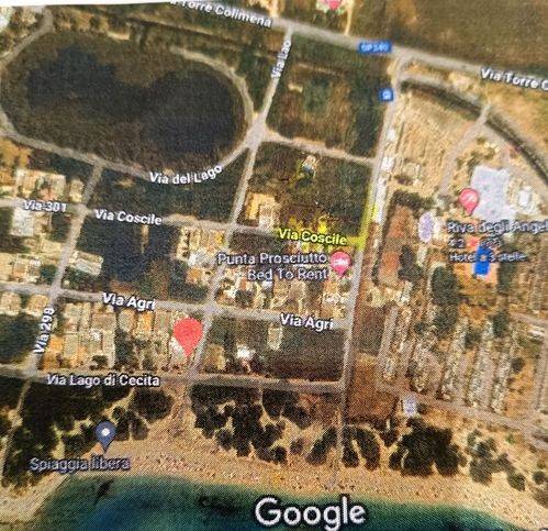 immagine annuncio 2 di 4