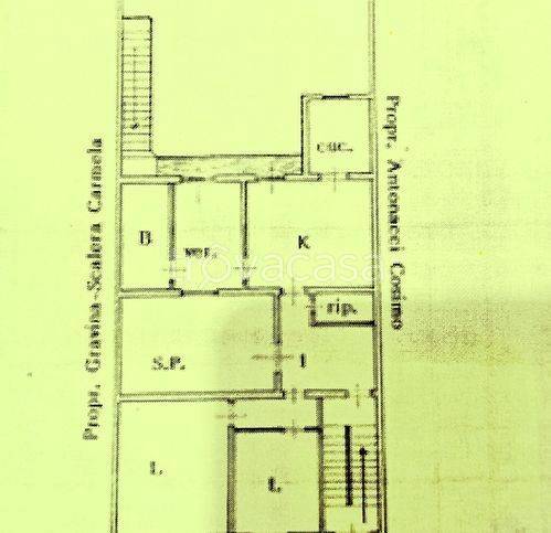 immagine annuncio 5 di 6