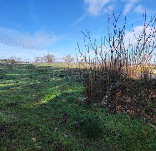 immagine annuncio 3 di 7