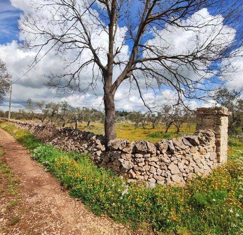 immagine annuncio 6 di 14