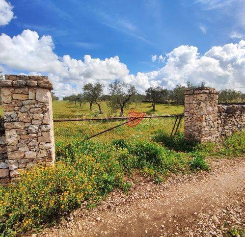 immagine annuncio 7 di 14