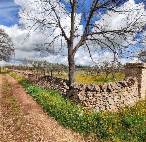 immagine annuncio 11 di 14