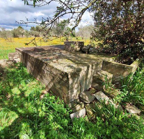 immagine annuncio 12 di 14