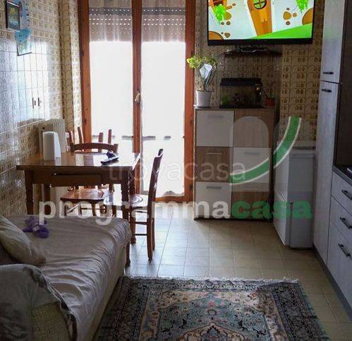 immagine annuncio 6 di 14