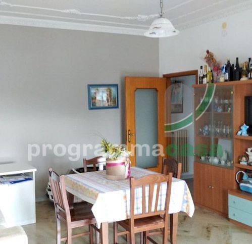 immagine annuncio 9 di 14