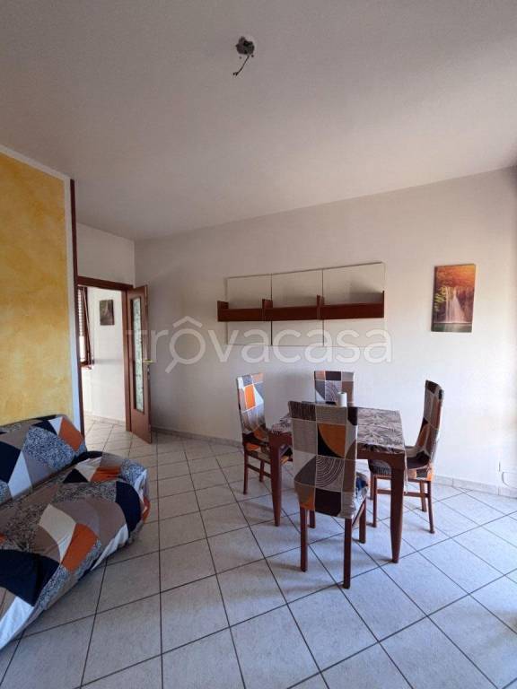 immagine annuncio 2 di 12