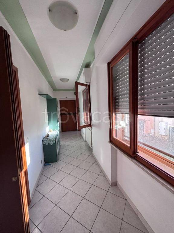 immagine annuncio 5 di 12