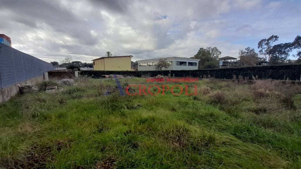 immagine annuncio 3 di 7