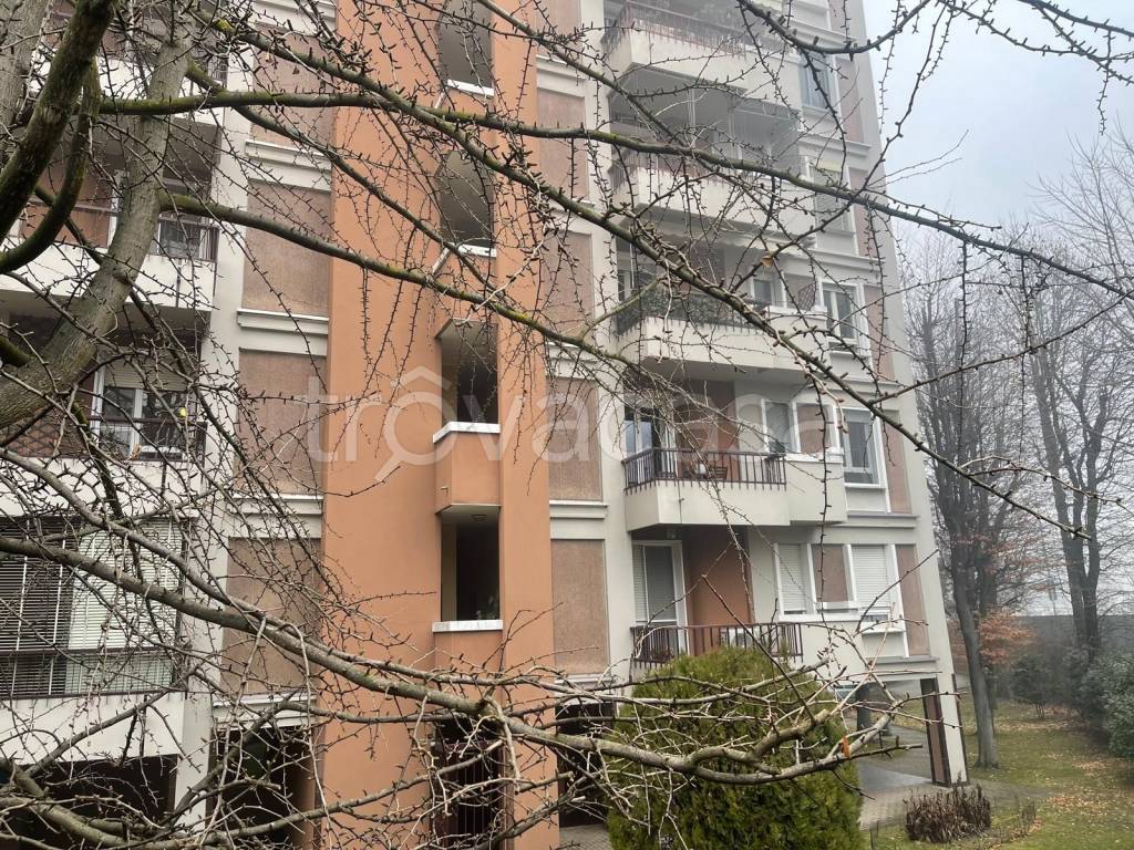 immagine annuncio 7 di 15