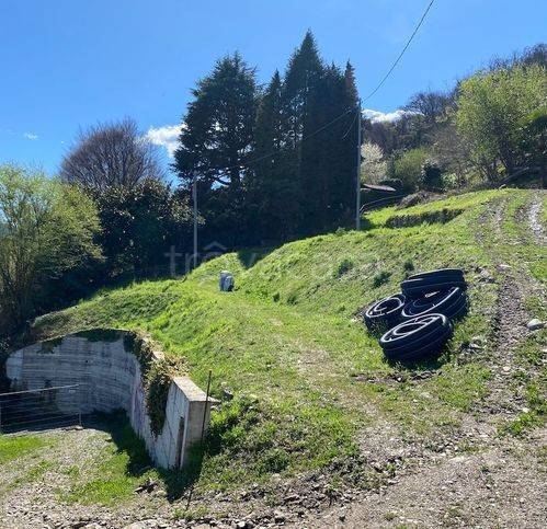 immagine annuncio 7 di 13