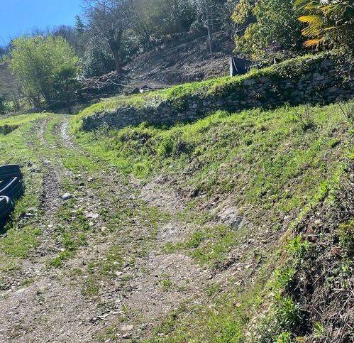 immagine annuncio 8 di 13