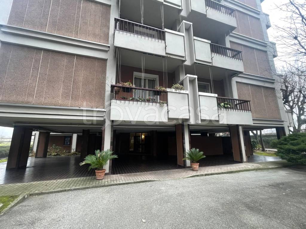 immagine annuncio 9 di 15