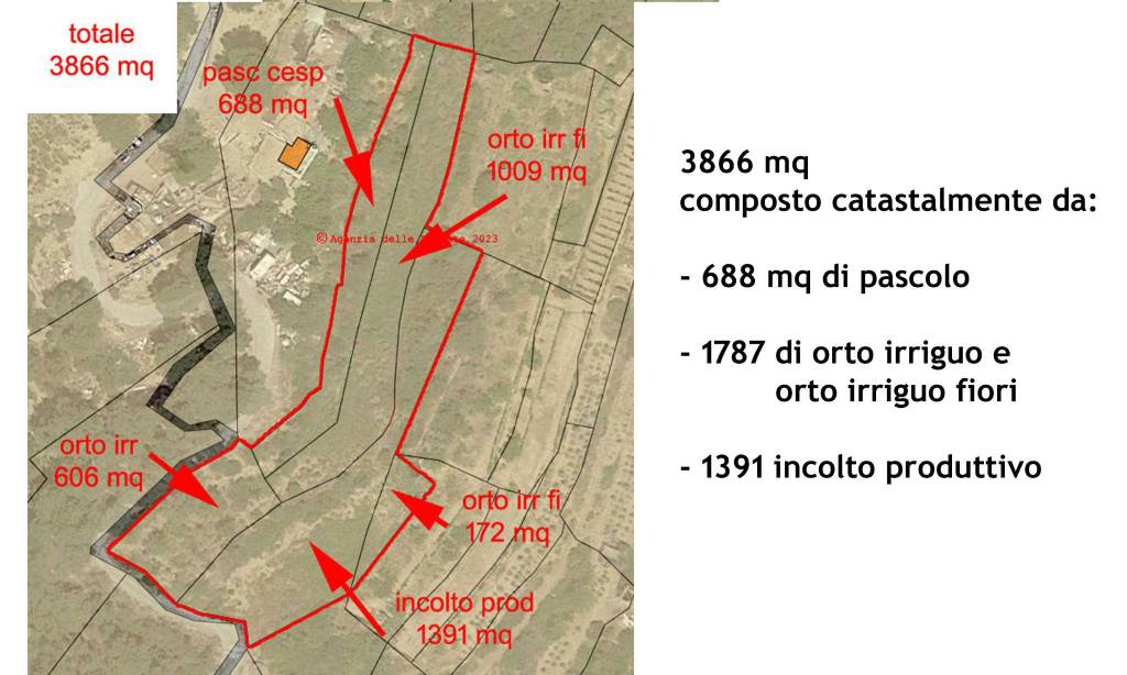 immagine annuncio 9 di 10