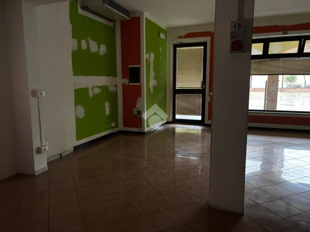 immagine annuncio 4 di 11