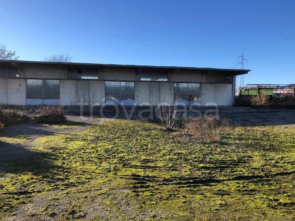 immagine annuncio 4 di 9