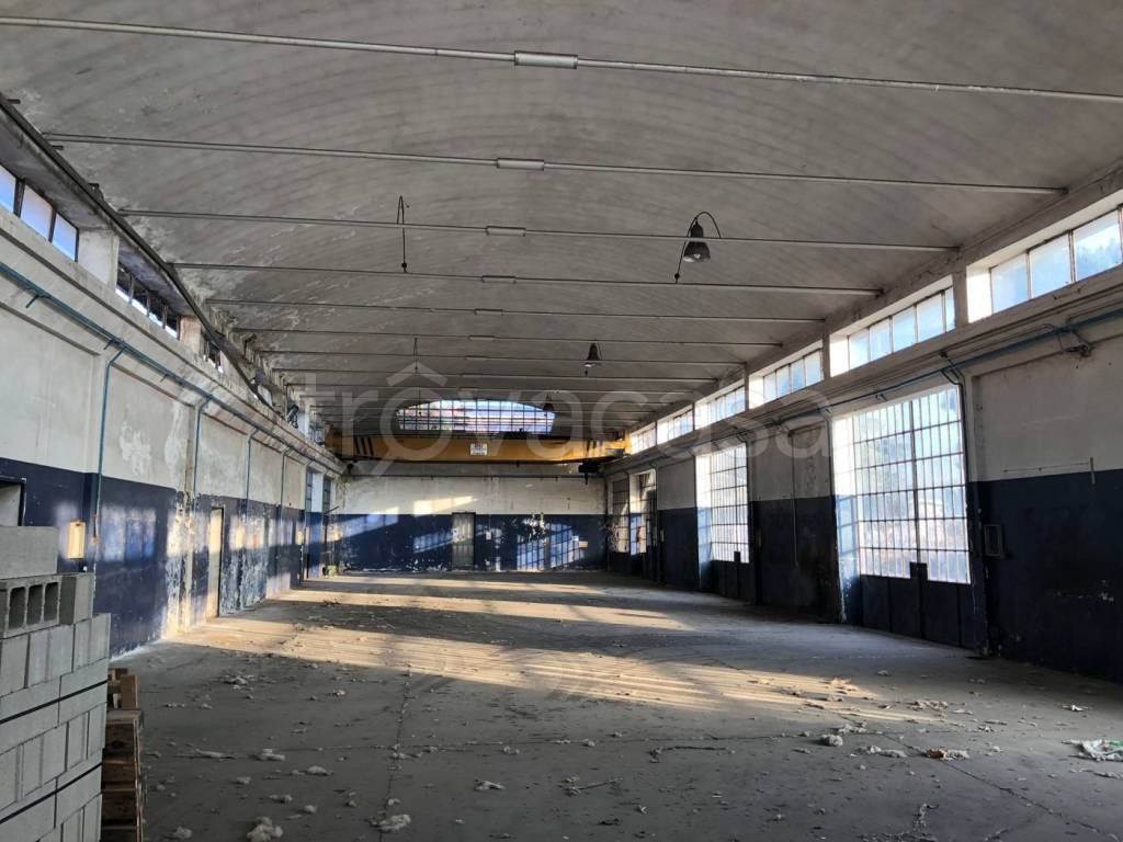 immagine annuncio 6 di 9