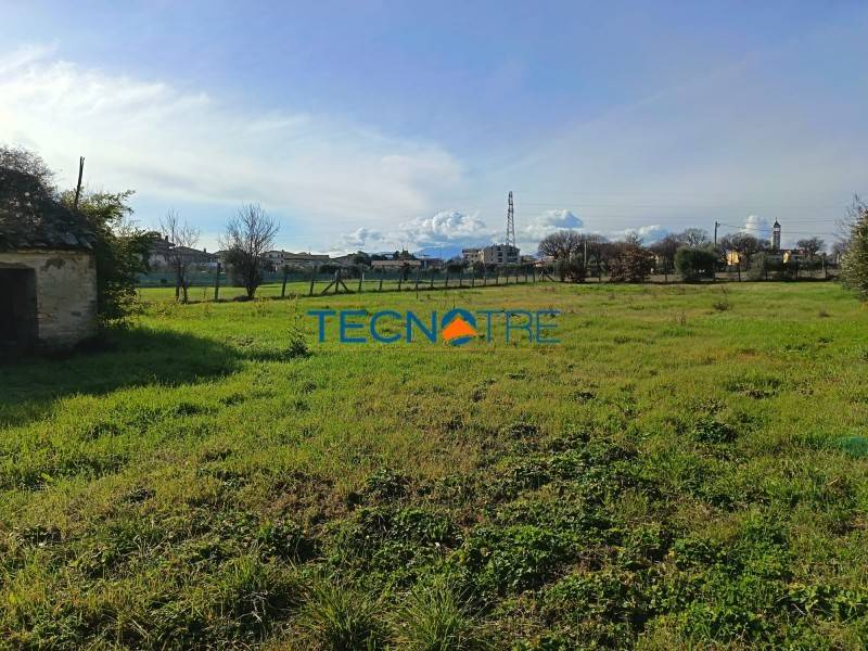 immagine annuncio 4 di 6