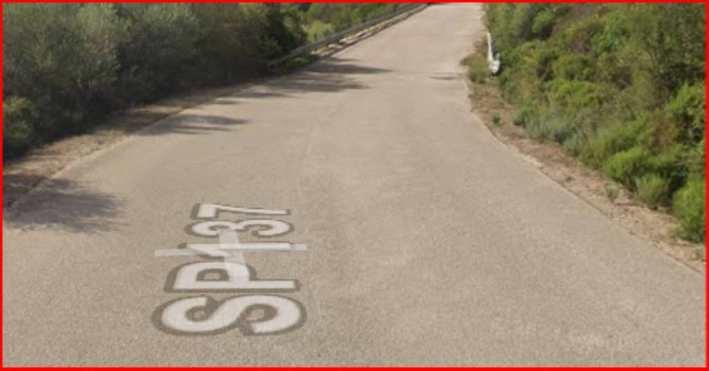 immagine annuncio 2 di 12