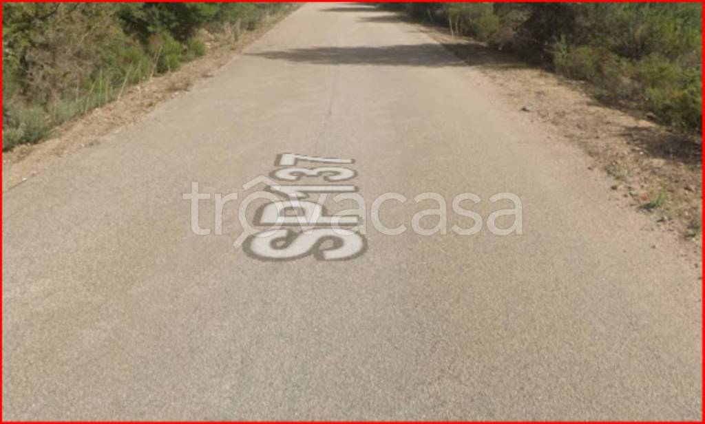 immagine annuncio 8 di 12