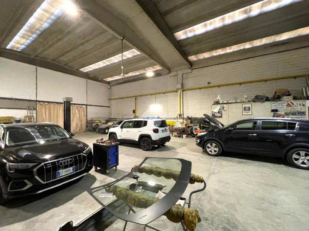 immagine annuncio 7 di 15