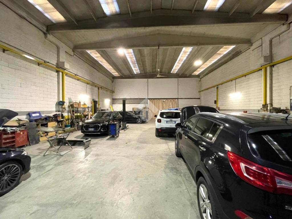 immagine annuncio 9 di 15