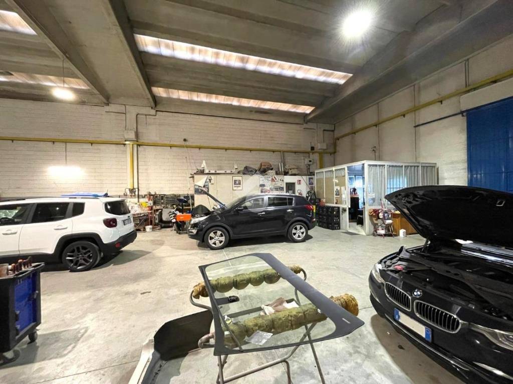 immagine annuncio 11 di 15