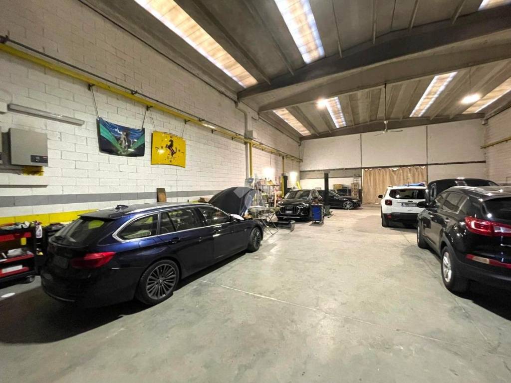 immagine annuncio 12 di 15