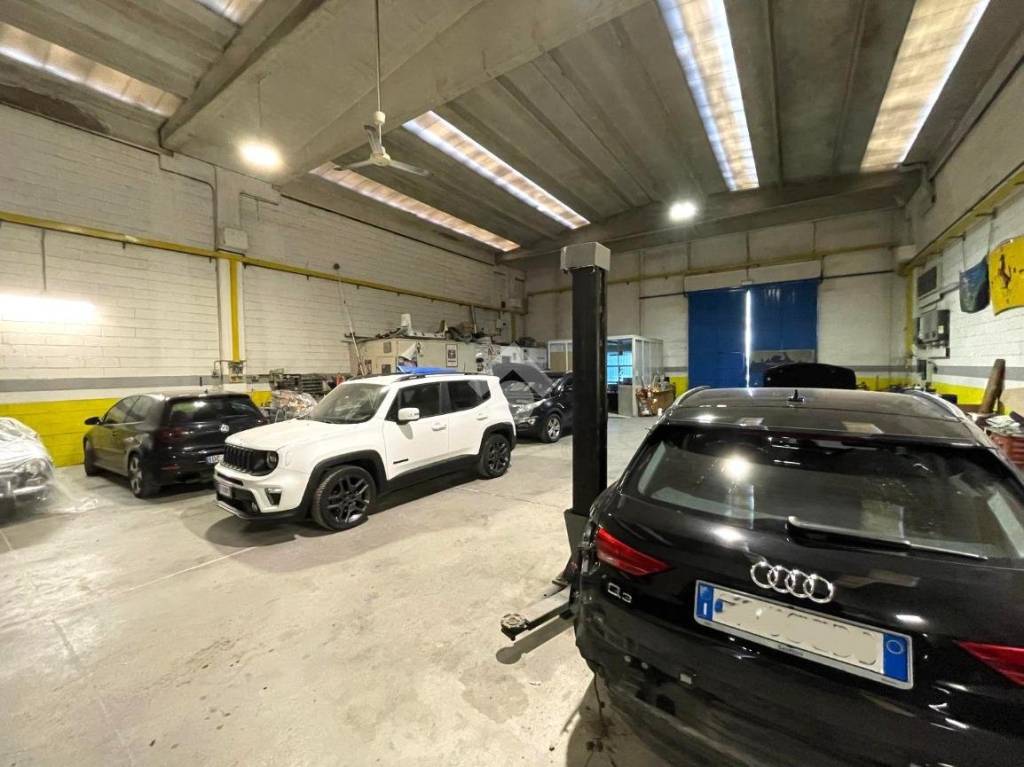 immagine annuncio 13 di 15