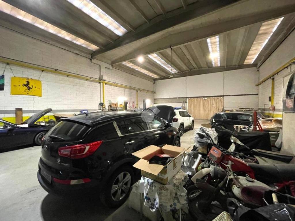 immagine annuncio 14 di 15