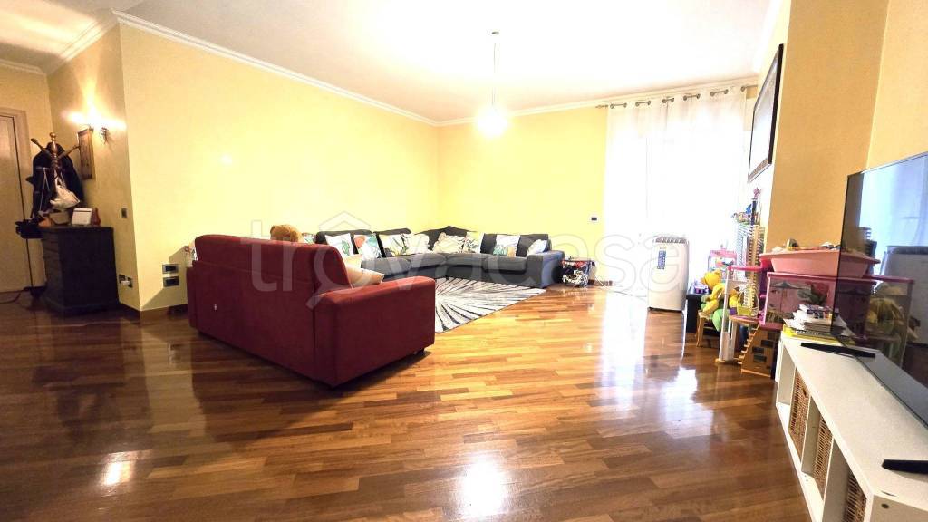 immagine annuncio 1 di 13