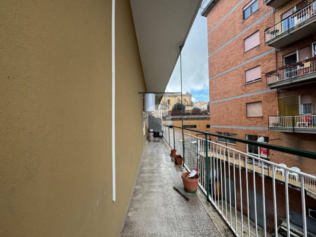 immagine annuncio 5 di 13