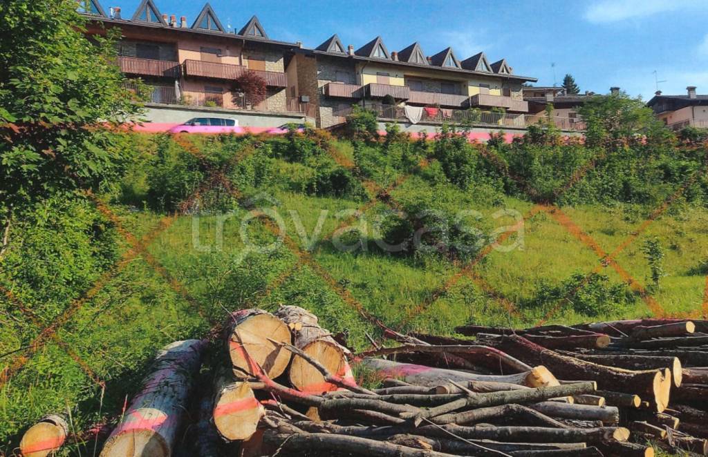 immagine annuncio 3 di 11