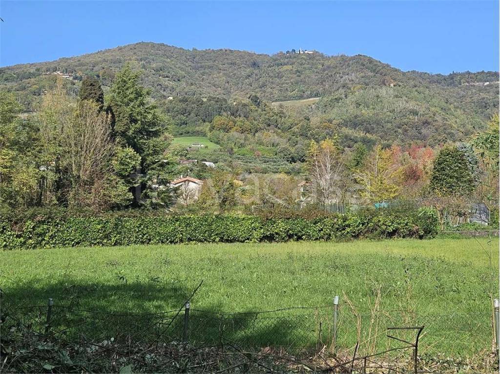 immagine annuncio 6 di 7