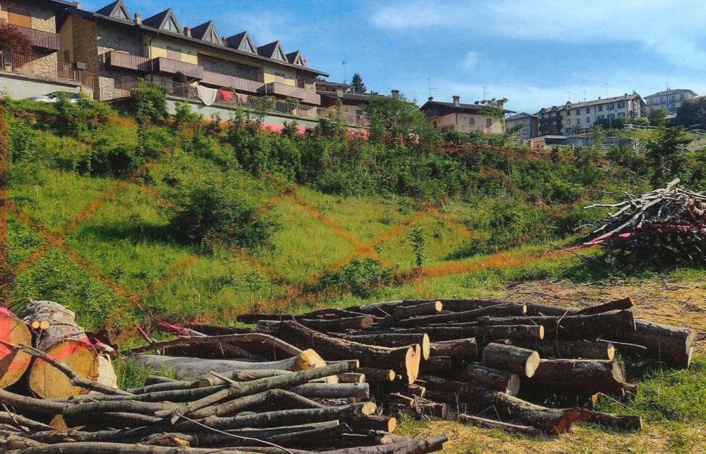 immagine annuncio 4 di 11