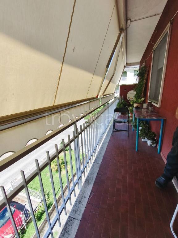 immagine annuncio 5 di 11