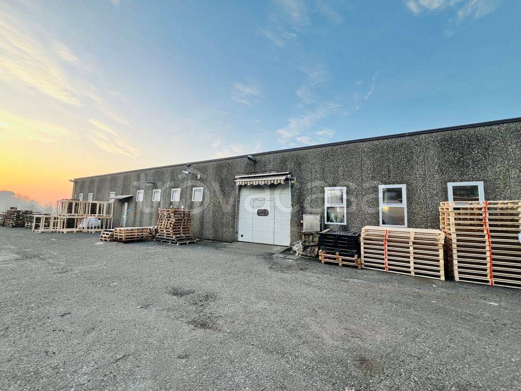 immagine annuncio 12 di 15