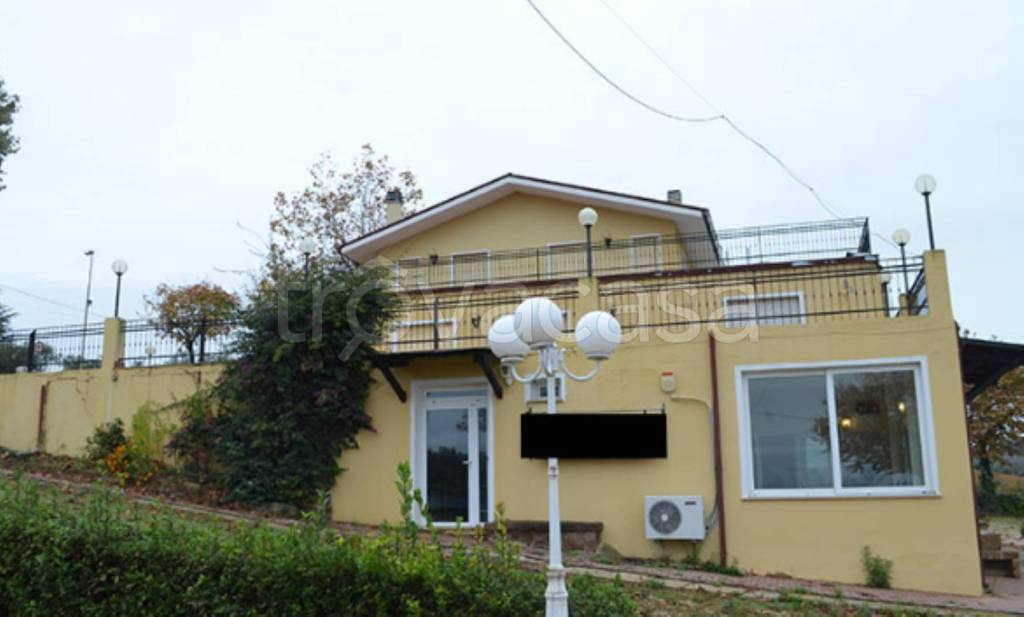 immagine annuncio 3 di 11