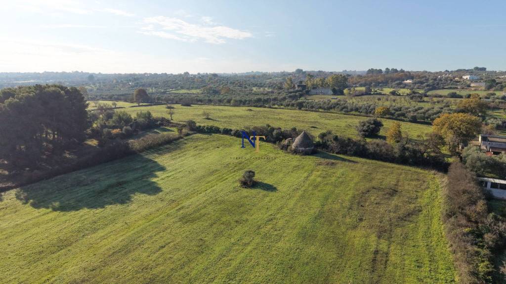 immagine annuncio 5 di 11