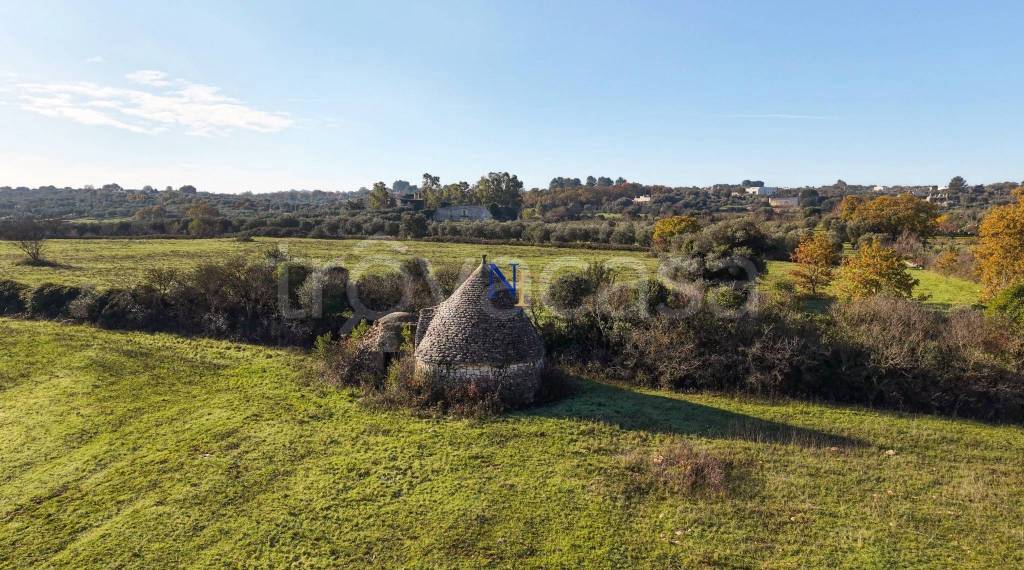 immagine annuncio 4 di 11