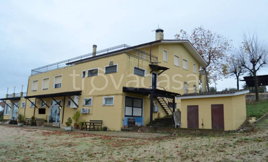 immagine annuncio 4 di 11