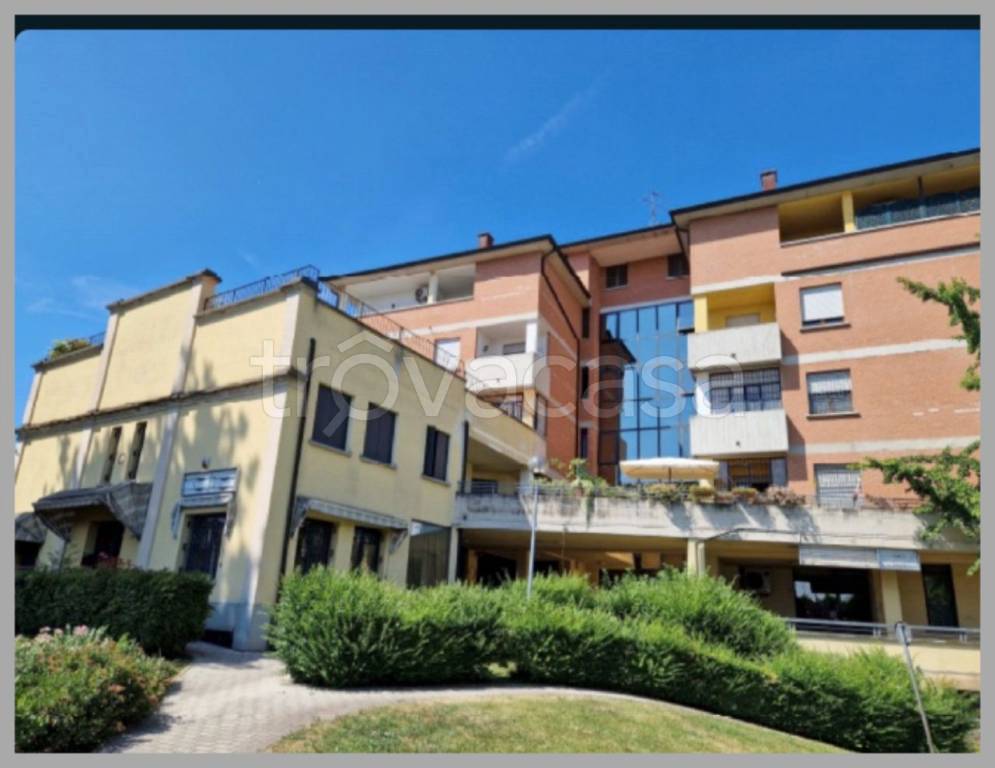 immagine annuncio 10 di 15