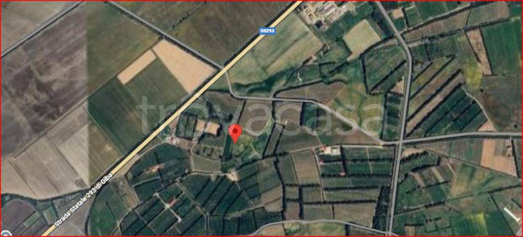 immagine annuncio 11 di 12