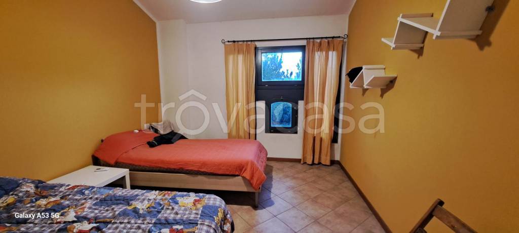 immagine annuncio 6 di 14