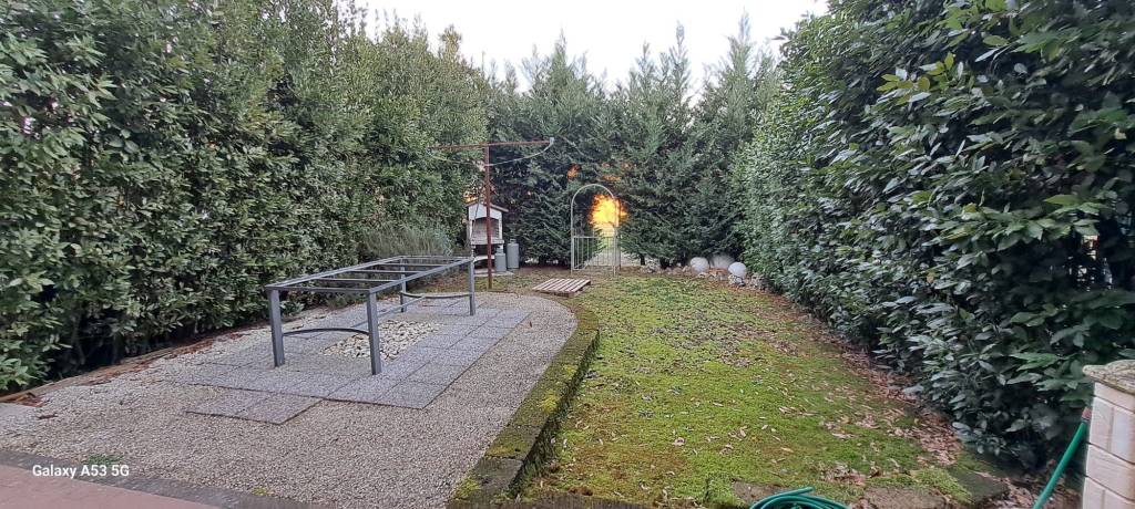 immagine annuncio 3 di 14