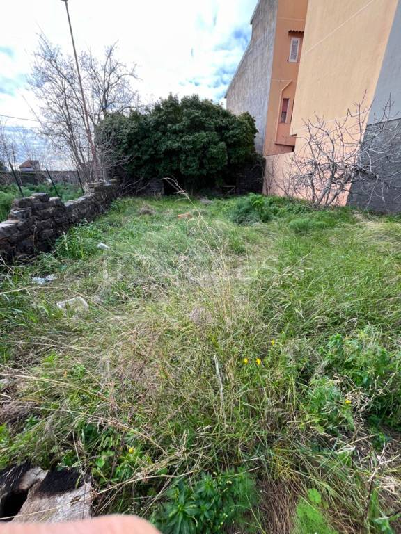 immagine annuncio 6 di 14