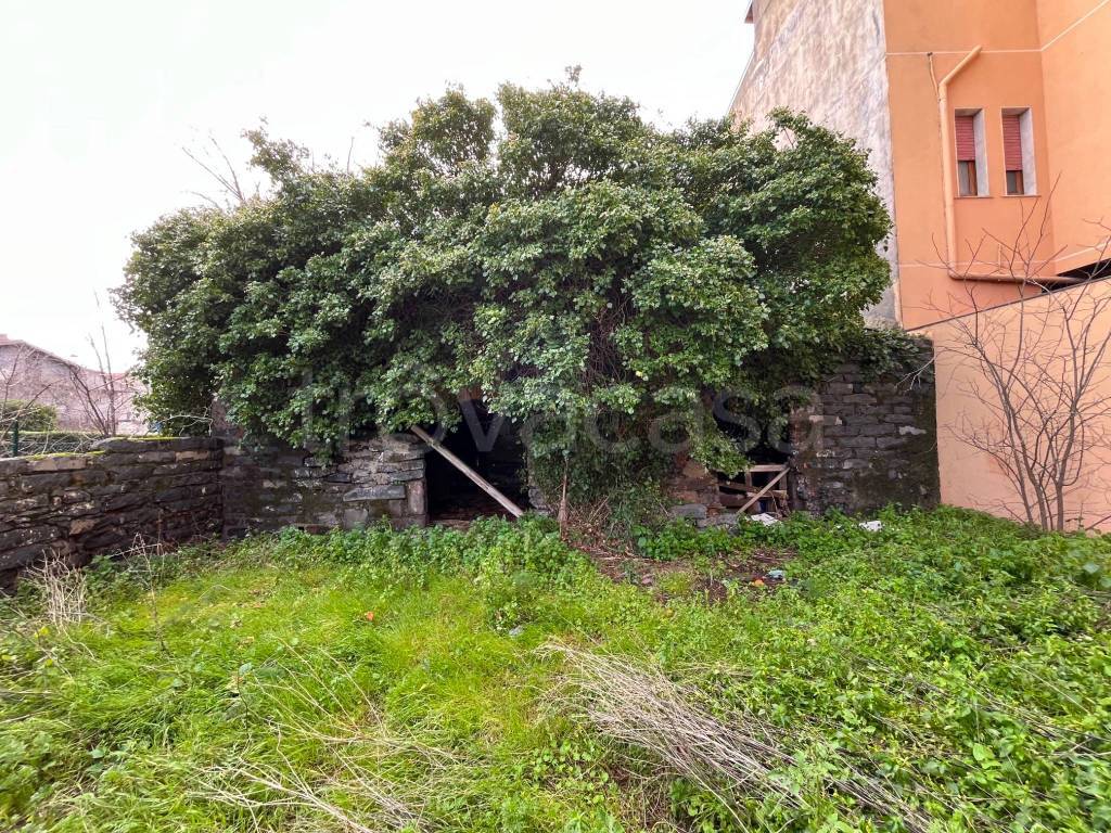 immagine annuncio 7 di 14