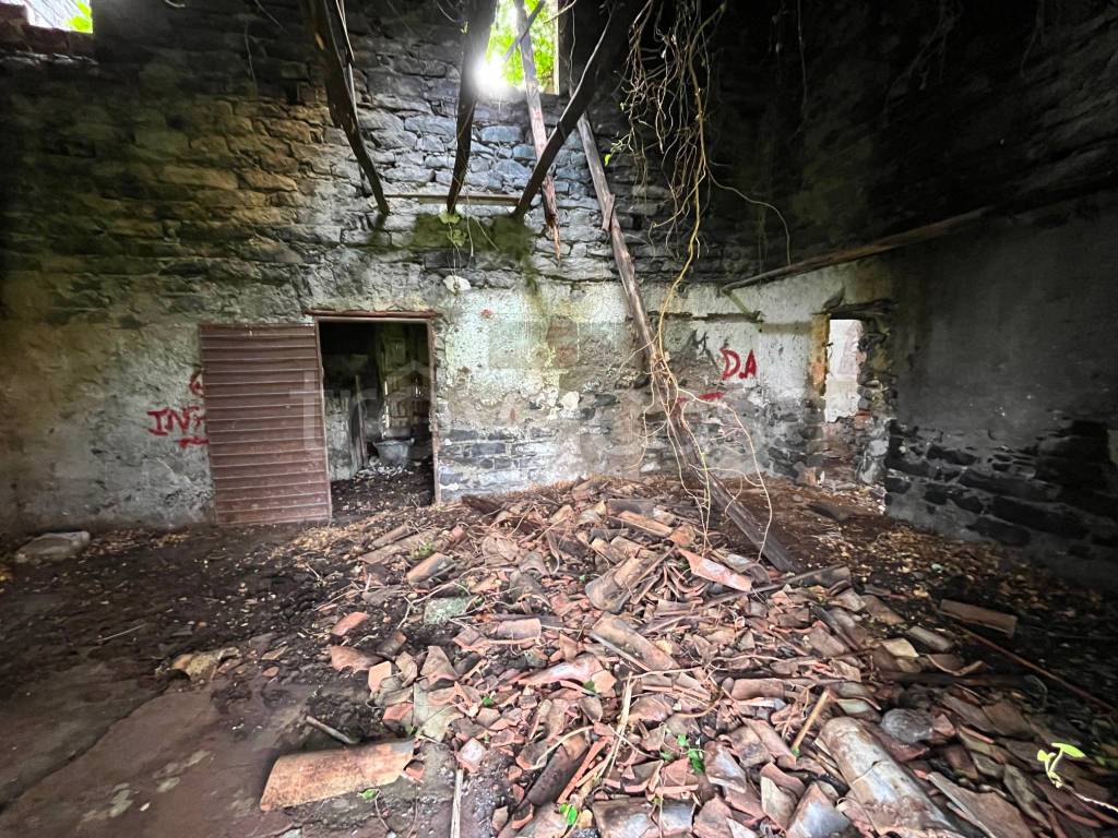 immagine annuncio 9 di 14